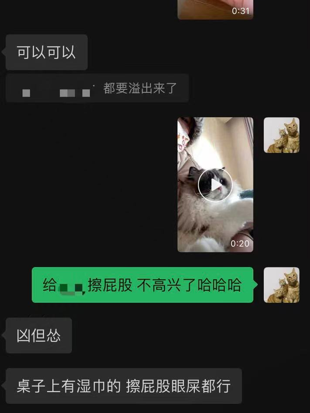 女子过年不回家搞副业十天赚几千 （是真的吗）