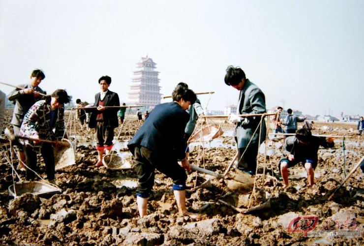 恢复高考是哪一年（恢复高考的背后真相是什么）