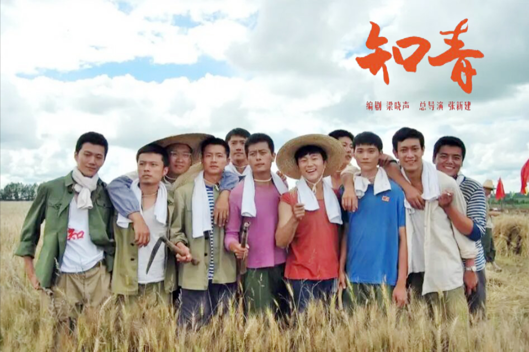 电视剧知青演员表全部介绍（电视剧知青演员现在都怎么样了）