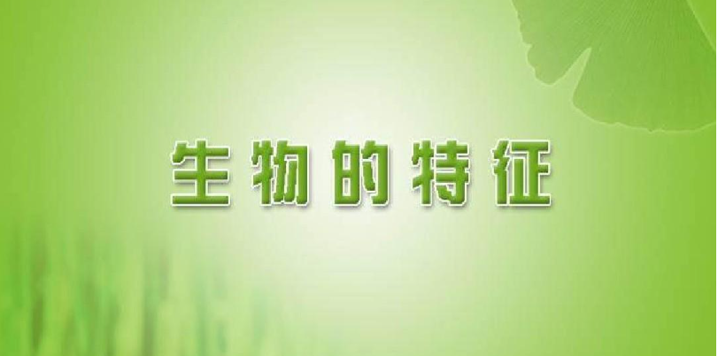 生物的基本特征有哪些（初中生物会考复习提纲有哪些）