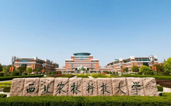 全国985学校排名顺序（2023年39所985大学排名）