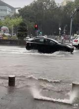 深圳暴雨致航班取消 旅客跪求起飞（是真的吗）