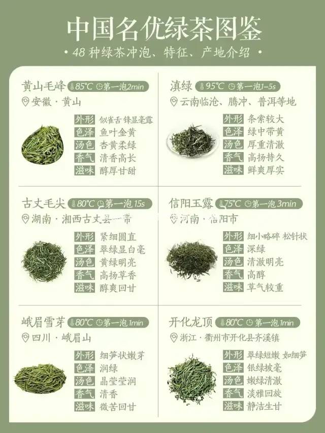 绿茶有哪些品种名称（盘点四十八种绿茶品种，你知道多少）