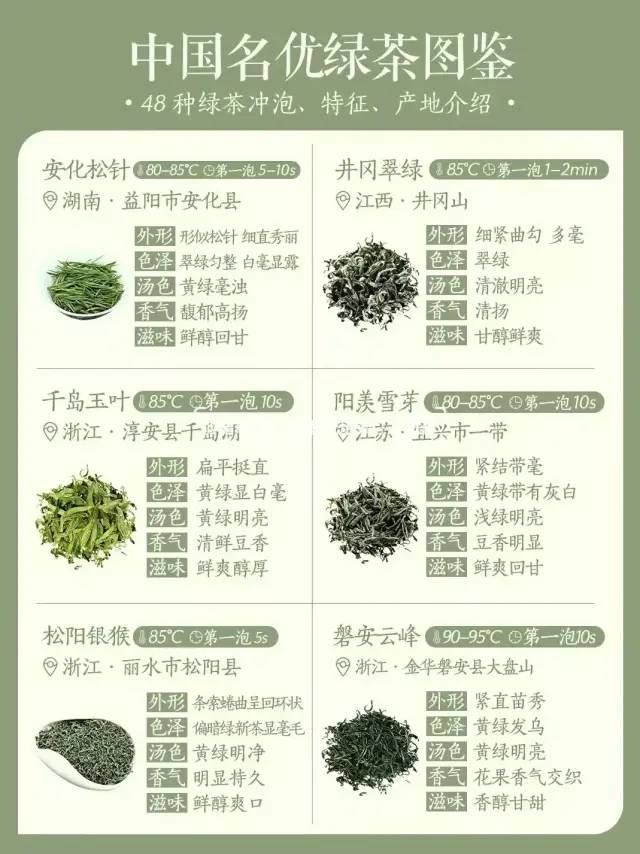 绿茶有哪些品种名称（盘点四十八种绿茶品种，你知道多少）