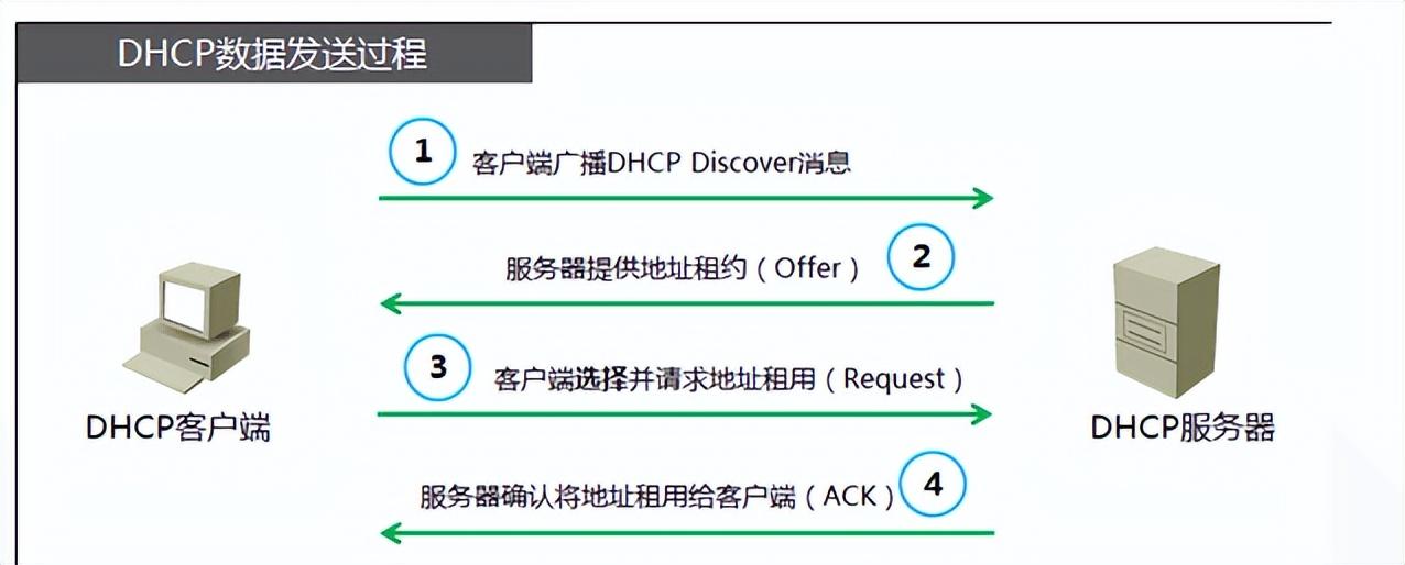 dhcp是什么意思（DHCP简介）