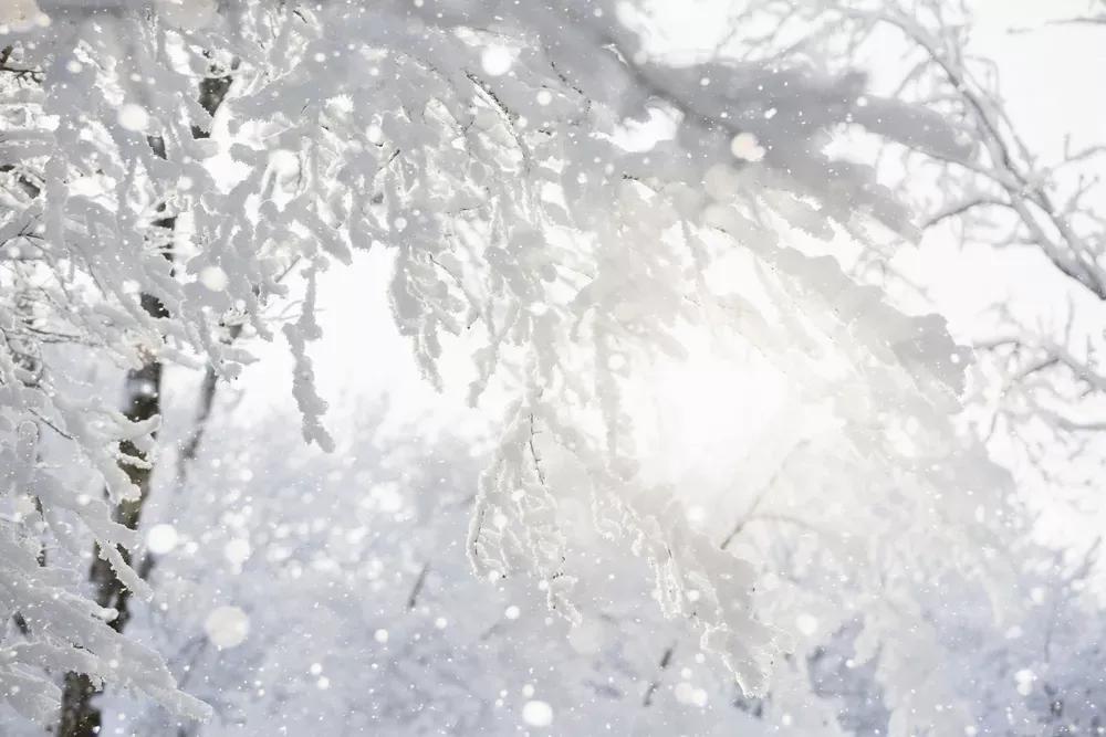 雪是怎么形成的物理现象（雪是怎么形成的，雪花是如何形成独特形状的）