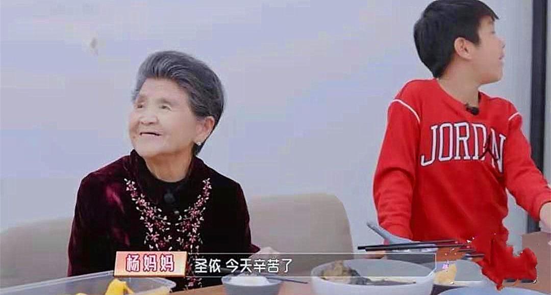 杨子是谁多么有钱（杨子黄圣依夫妻怎么样）