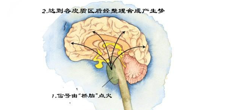 关于梦的解释有哪些（解析人为什么会做梦呢）