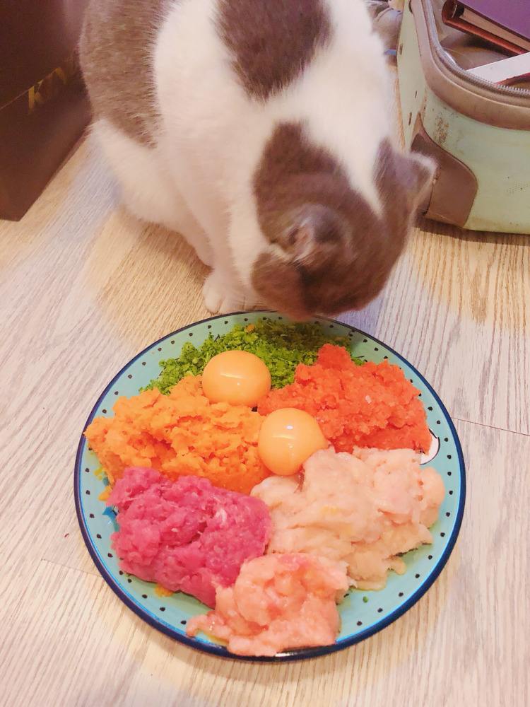 自制猫饭食谱（猫饭的自制方法）