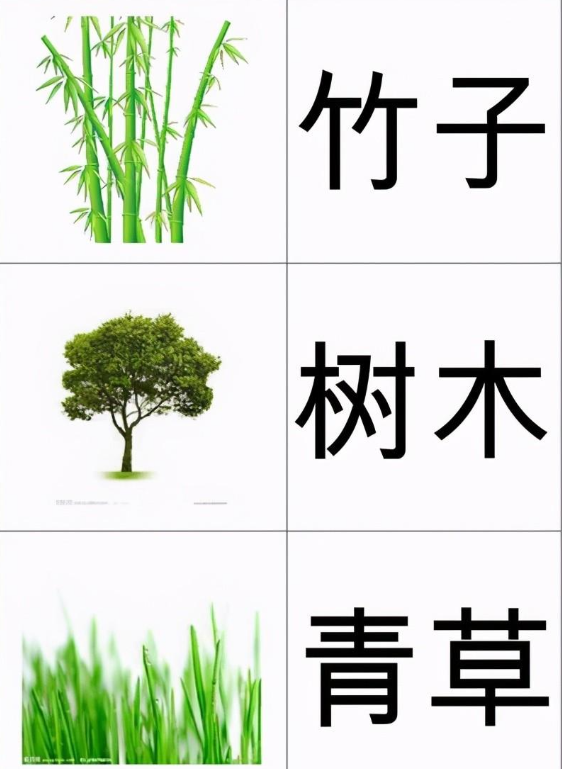 如何教幼儿识字（教幼儿识字的五个方法）